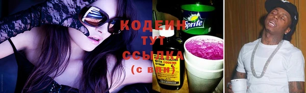 хмурый Приозерск